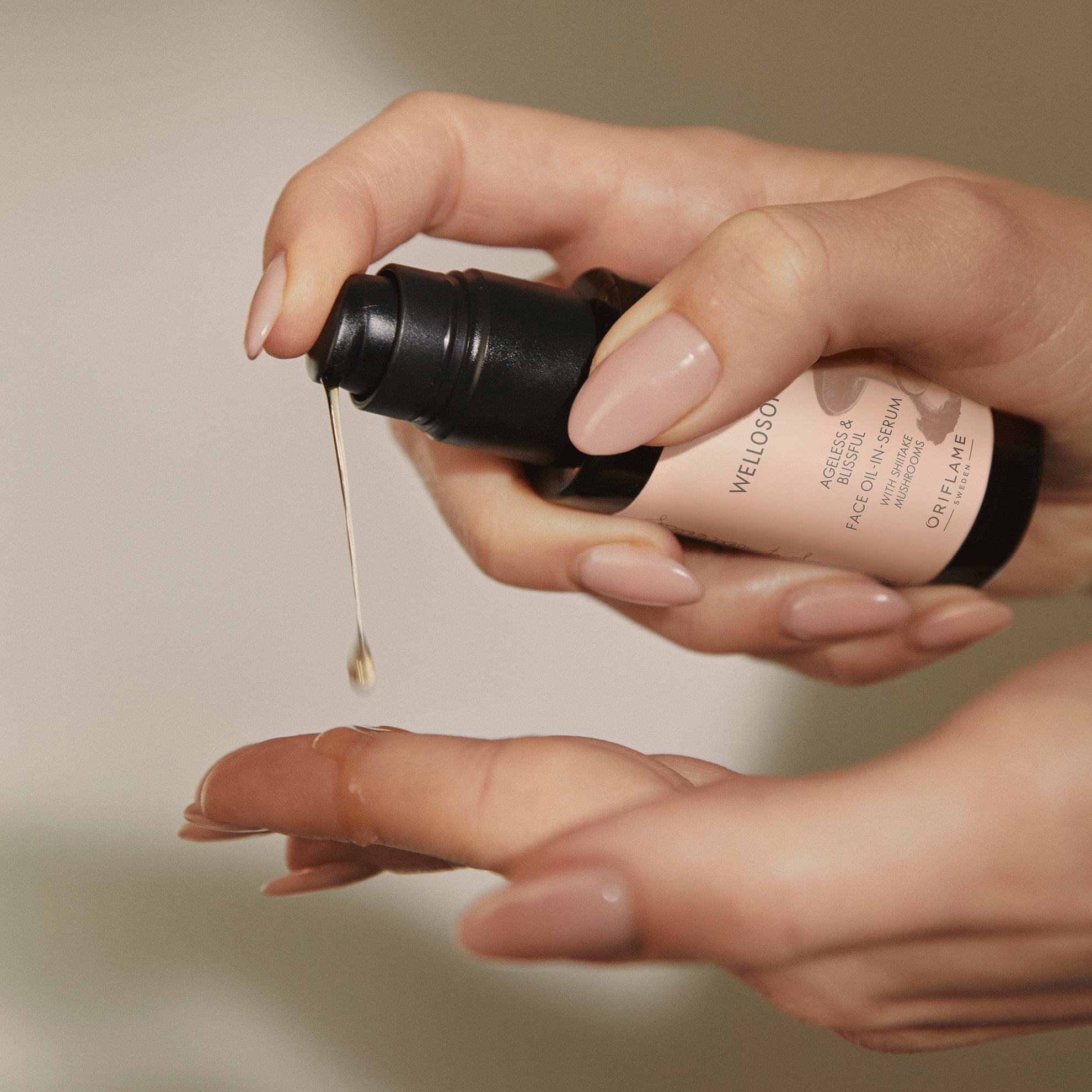 diabetic cookies diabetic cookies